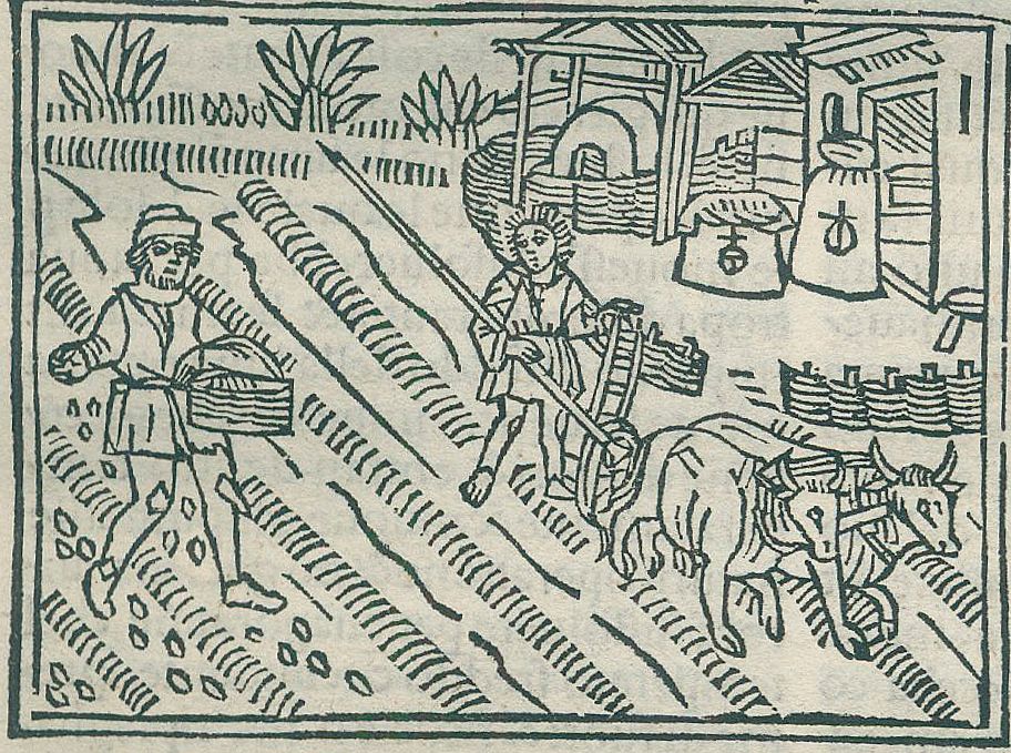 Große Abbildung Nr.2: 134-85 Crescentiis,P.de.: (Alte Drucke, Handschriften und Theologie)