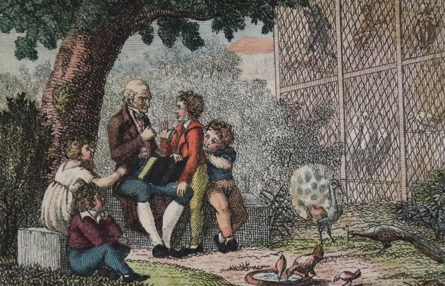 Große Abbildung Nr.1: 134-906 Zoologie.: (Kinder- und Jugendbücher)