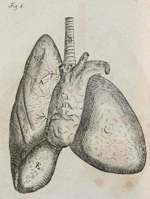 Bild Nr.1: 134-1419 Henckel,J.F.: (Medizin)