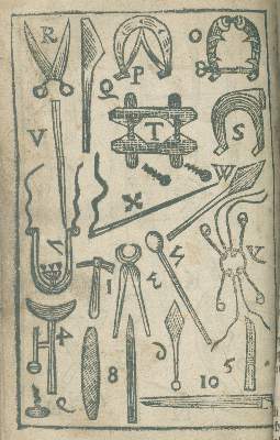 Bild Nr.3: 134-1456 Pluvine,A. u. St.Bracciolini.: (Medizin, Veterinärmedizin)