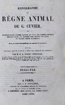 Bild Nr.1: 134-1472 Cuvier,G.: (Zoologie, Insekten)