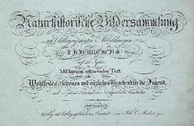 Bild Nr.3: 134-1479 Naturhistorische Bildersammlung: (Zoologie)