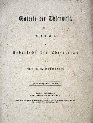 Bild Nr.9: 134-1479 Naturhistorische Bildersammlung: (Zoologie)