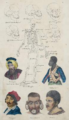 Bild Nr.1: 134-1486 Schmitz,J.: (Zoologie)
