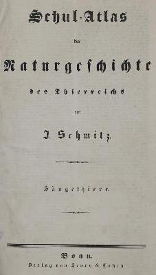 Bild Nr.3: 134-1486 Schmitz,J.: (Zoologie)
