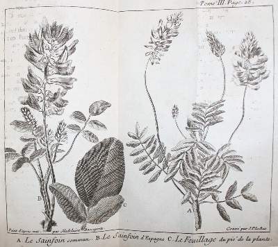 Bild Nr.2: 134-1573 (Pluche,N.A.).: (Verschiedene Gebiete - Varia)