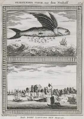 Bild Nr.1: 134-1596 Allgemeine Historie der Reisen: (Afrika)