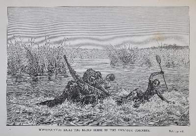 Bild Nr.1: 134-1598 Baker,S.W.: (Afrika)