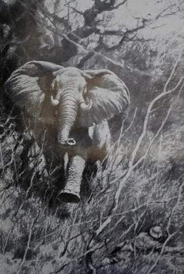 Bild Nr.2: 134-1602 Jannasch,H.: (Afrika)