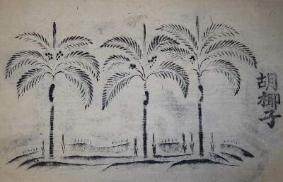 Bild Nr.1: 134-1673 Collection of Stamps: (Asien, Vietnam)