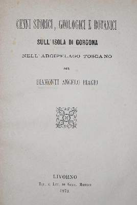 Bild Nr.1: 134-1879 Biamonti,A.B.: (Italien)