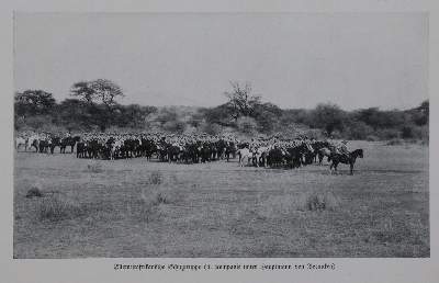 Bild Nr.1: 134-2027 Zache,H.: (Verschiedene Länder - Geschichte, Kolonien)