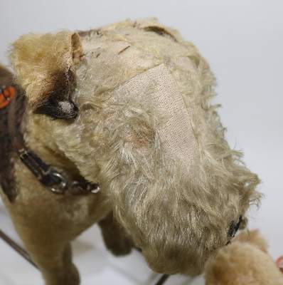 Bild Nr.21: 134-2210 Steiff Foxterrier: (Varia, Spielzeug)