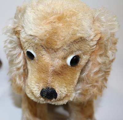 Bild Nr.22: 134-2210 Steiff Foxterrier: (Varia, Spielzeug)