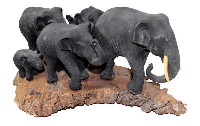 Bild Nr.1: 134-2223 Elefantenherde.: (Afrika)
