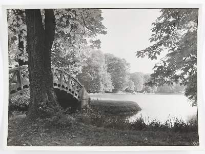 Bild Nr.1: 134-2668 Wolff, Paul: (Photographie)