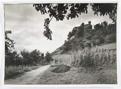 Bild Nr.1: 134-2670 Wolff, Paul: (Photographie)