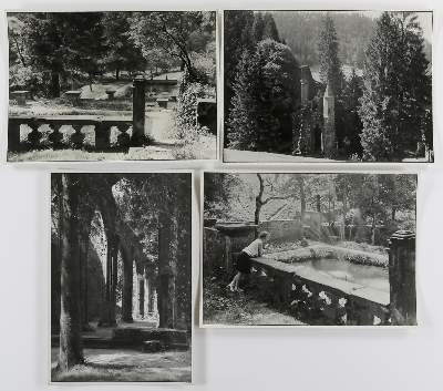 Bild Nr.1: 134-2672 Wolff, Paul: (Photographie)