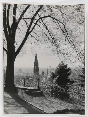 Bild Nr.1: 134-2680 Wolff, Paul: (Photographie)