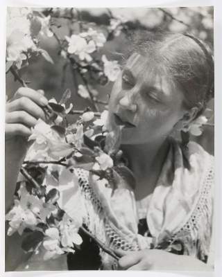 Bild Nr.1: 134-2683 Wolff, Paul: (Photographie)