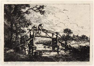 Bild Nr.1: 134-2732 Angler.: (Varia, Fische)
