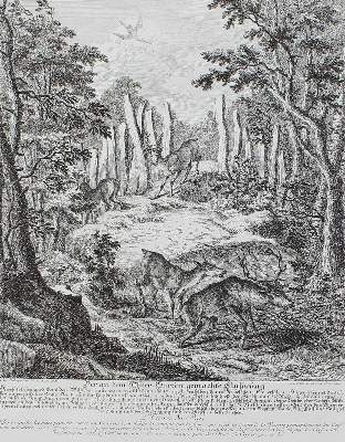 Bild Nr.3: 134-2740 Jagdkunst.: (Varia, Jagd, Ridinger)