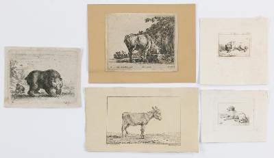 Bild Nr.2: 134-2825 Konvolut: (Varia, Zoologie, Tiere)