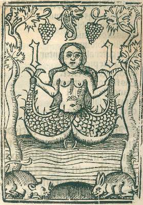 Bild Nr.2: 134-305 (Pseudo-)Augustinus, Aurelius.: (Alte Drucke, Handschriften und Theologie)