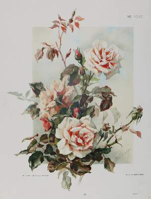 Bild Nr.1: 134-3264 Birkinger, Franz Xaver: (Künstlergraphik)