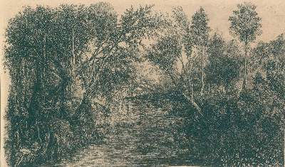 Bild Nr.1: 134-3291 Bresdin, Rodolphe: (Künstlergraphik)