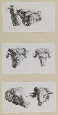 Bild Nr.1: 134-3432 Dujardin, Karel: (Künstlergraphik)