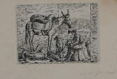 Bild Nr.1: 134-3486 Fernando II. (Ferdinand August von Sachsen-Coburg u. Gotha,: (Künstlergraphik)