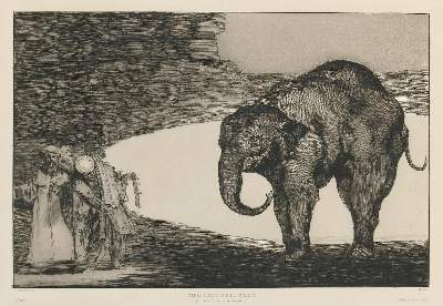 Bild Nr.1: 134-3565 Goya, Francisco de: (Künstlergraphik)