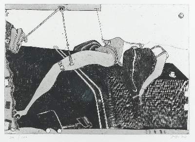 Bild Nr.1: 134-3713 Janssen, Horst: (Künstlergraphik)