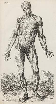 Bild Nr.1: 134-379 Tortebat,F.: (Alte Drucke, Handschriften und Theologie)