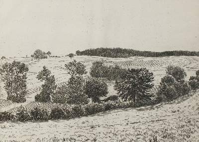 Bild Nr.1: 134-3935 Matthaei, Karl Otto: (Künstlergraphik)