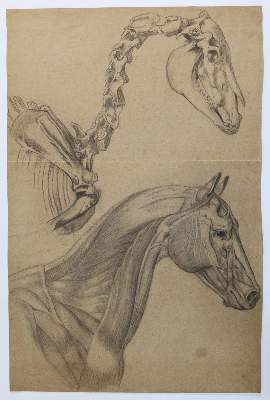 Bild Nr.10: 134-4085 Quirin, Eberhard: (Künstlergraphik)