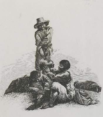Bild Nr.2: 134-4374 Velde, Adriaen van de: (Künstlergraphik)