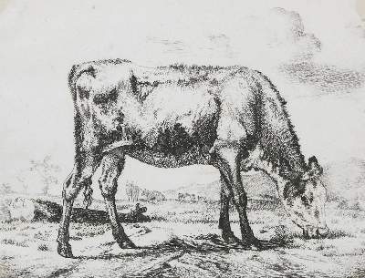 Bild Nr.1: 134-4375 Velde, Adriaen van de: (Künstlergraphik)