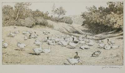 Bild Nr.1: 134-4391 Volkmann, Hans Richard von: (Künstlergraphik)