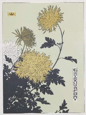 Bild Nr.1: 134-4407 Walther, Ernest Hermann: (Künstlergraphik)
