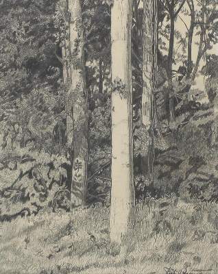 Bild Nr.2: 134-568 Rückgänge: (Varia)