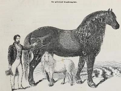 Bild Nr.3: 134-609 L`Illustration.: (Zeitschriften und Zeitungen)