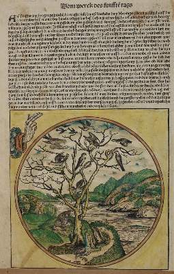 Bild Nr.1: 134-66 Schedel.: (Buchholzschnitte)
