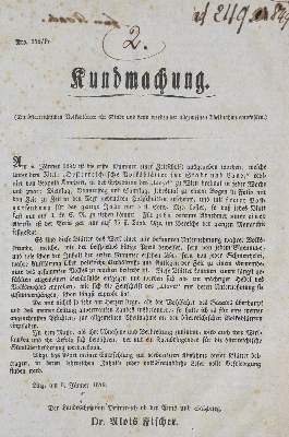 Bild Nr.2: 134-689 Krause,A.M.: (Kunstwissenschaft)
