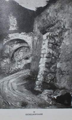 Bild Nr.7: 134-715 Karpfen,F.: (Schiele)
