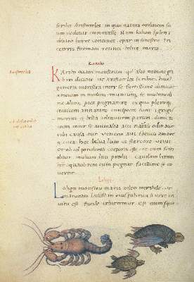 Bild Nr.1: 134-758 Candidus,P.: (Faksimile)