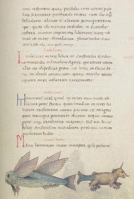 Bild Nr.2: 134-758 Candidus,P.: (Faksimile)