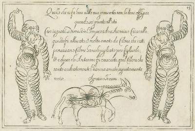 Bild Nr.4: 134-813 Tensini,A.: (Typographie und Kalligraphie)