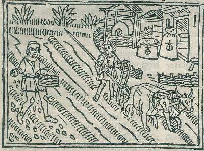 Bild Nr.2: 134-85 Crescentiis,P.de.: (Alte Drucke, Handschriften und Theologie)